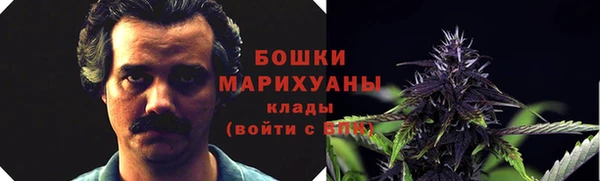 спайс Няндома