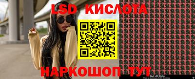 шишки Бузулук