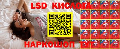 шишки Бузулук