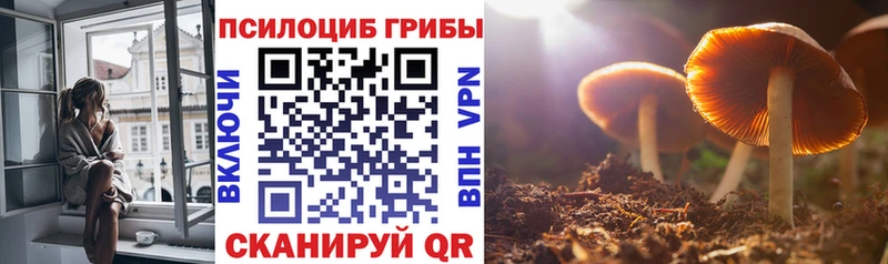 Галлюциногенные грибы мухоморы  Заводоуковск 