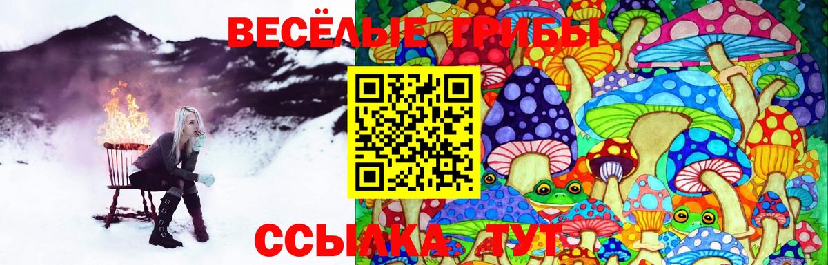Псилоцибиновые грибы Psilocybe  Псилоцибиновые грибы Psilocybine cubensis  наркота  Вход с VPN  Заводоуковск 