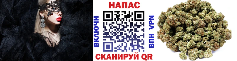 даркнет официальный сайт Заводоуковск МАРИХУАНА планчик
